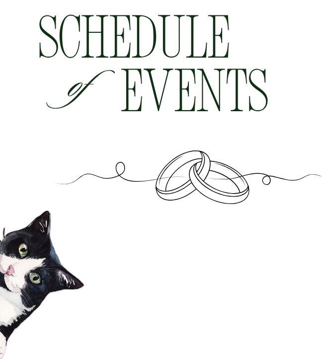 Schedule of events